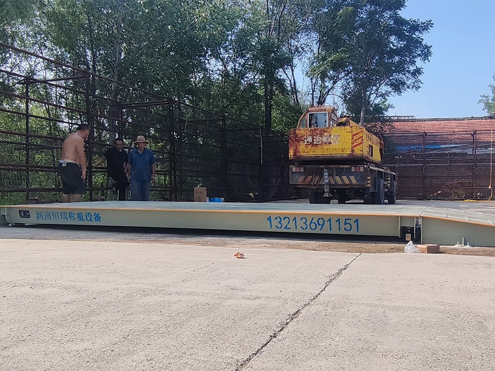 菏澤定陶區(qū)豐莊糧站4