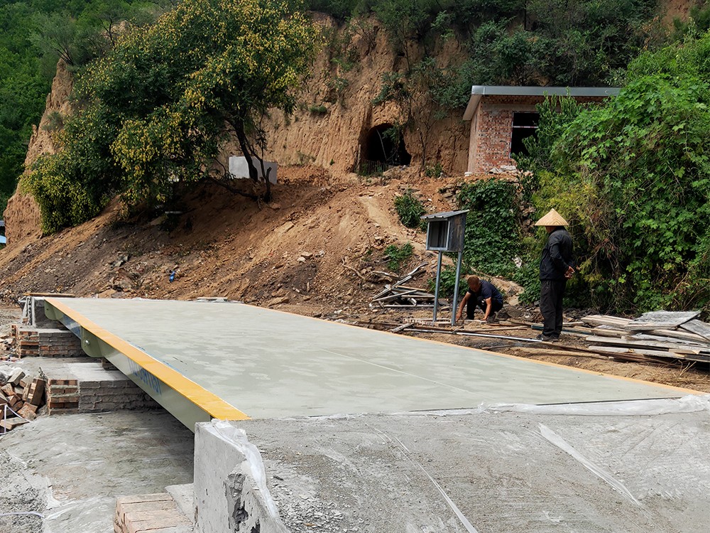 山西巨鑫養(yǎng)殖3